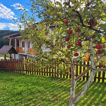 Appartement Zlatna Jabuka Lux